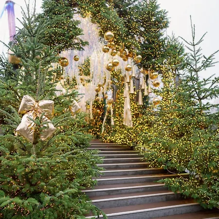 Mira - A For - Old Town Daire